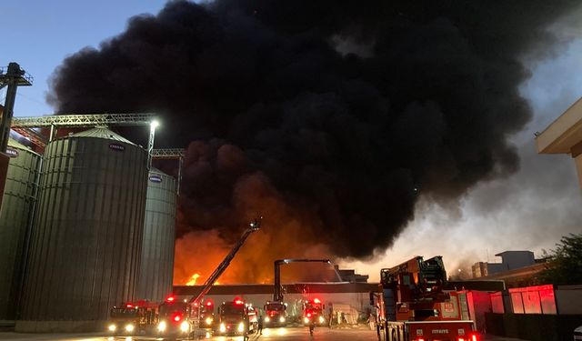 Gaziantep'te halı fabrikasında çıkan yangına müdahale ediliyor