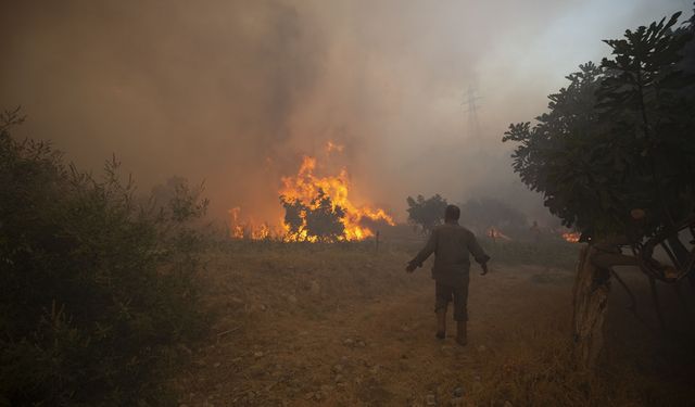 Uşak'taki orman yangınında gözaltı