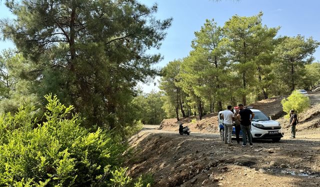 Muğla'da bebeğin ormana terk edilmesine ilişkin 2 şüpheliye gözaltı