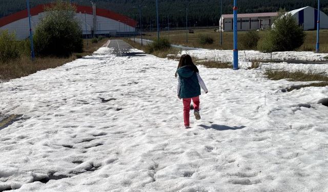 Ardahan'da yerler beyaza büründü