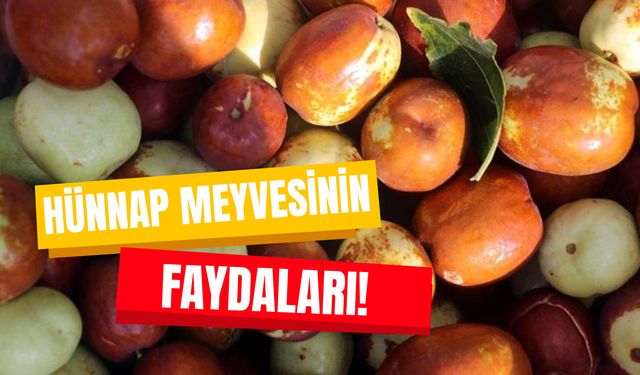 “Ölümsüzlük Meyvesi” Olarak da Biliniyor! Hünnapın Faydaları Nelerdir?