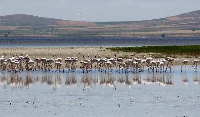 Seyfe Gölü Tabiatı Koruma Alanı'nın sınırları yeniden çizildi