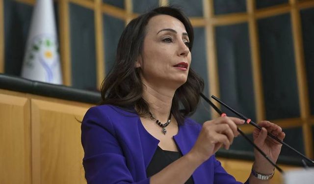 DEM Parti'den Hatimoğulları açıklaması: Linç kampanyası, ırkçı ve alçakça saldırı dalgasının parçası