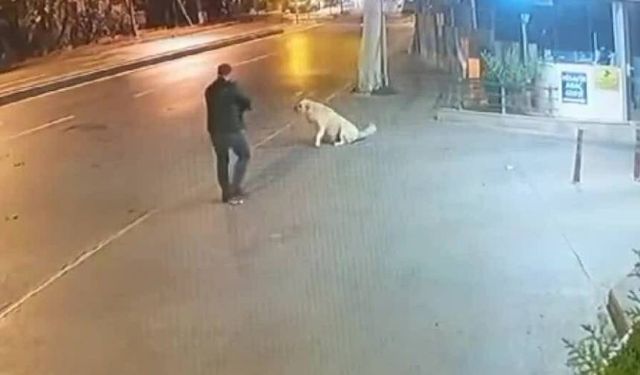 Köpeğe silah doğrultmuştu: 9 ayrı suç kaydı çıktı