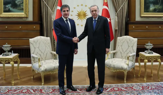 Erdoğan, Neçirvan Barzani ile görüştü