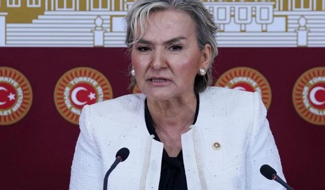 İYİ Parti'den istifa eden İstanbul Milletvekili Nimet Özdemir bugün CHP’ye katılacak