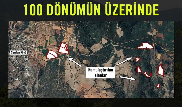 TEMA Vakfı'ndan Sarıalan Altın Madeni Projesine itiraz: Acele kamulaştırma kararı geri çekilmeli, ekosistem korunmalı