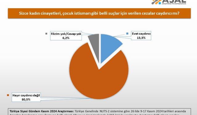 Parti fark etmeksizin toplum aynı fikirde: Kadın cinayetleri ve çocuk istismarı gibi suçlarda cezalar caydırıcı değil