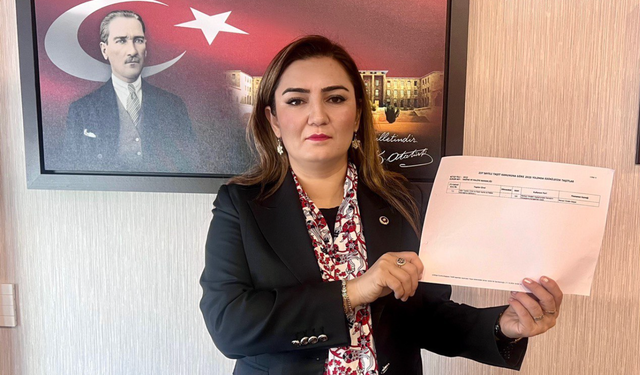 CHP İzmir Milletvekili Sevda Erdan Kılıç: Tasarruf Bahane, Filo Şahane!