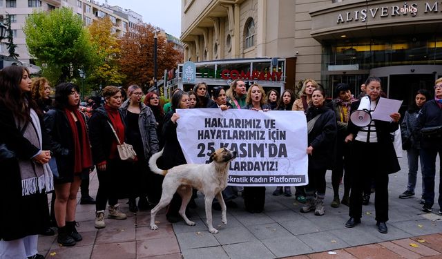 Eskişehir’de kadınlardan 25 Kasım çağrısı: Şiddete karşı birlikte yürüyelim