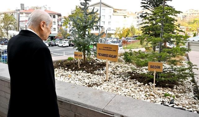 Bahçeli bu kez, 'Biz Kardeşiz' temalı 3 ağaç dikti