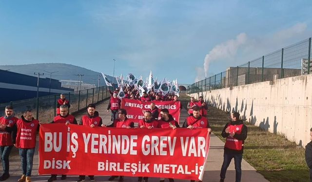 DİSK Birleşik Metal-İş Sendikası: MESS üyesi Arıtaş’ta grevimiz başladı