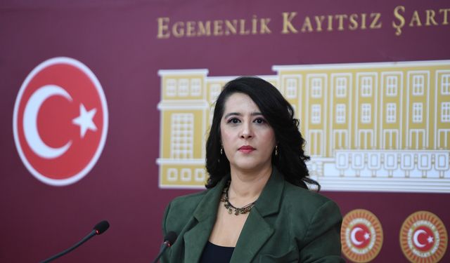 Sevda Karaca: Moto kuryelik faaliyeti çok tehlikeli işler kapsamına almalıdır