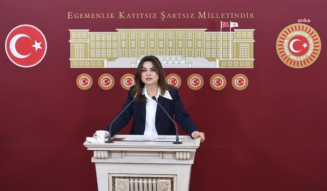 Gülistan Kılıç Koçyiğit: Meclis çözüm için hızlıca inisiyatif geliştirmeli