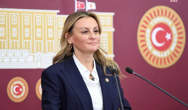 DEVA Partili Ösen: Yılın ilk haftasında kredi kartı borç rekoru kırıldı, iktidar vatandaşı batağa sürükledi