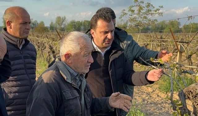 CHP'li Vekil Başevirgen: Manisa afet bölgesi ilan edilsin