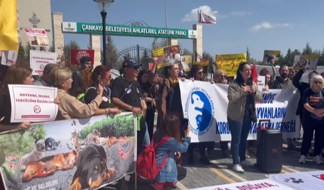 Hayvan hakları savunucuları AYM’nin önünde