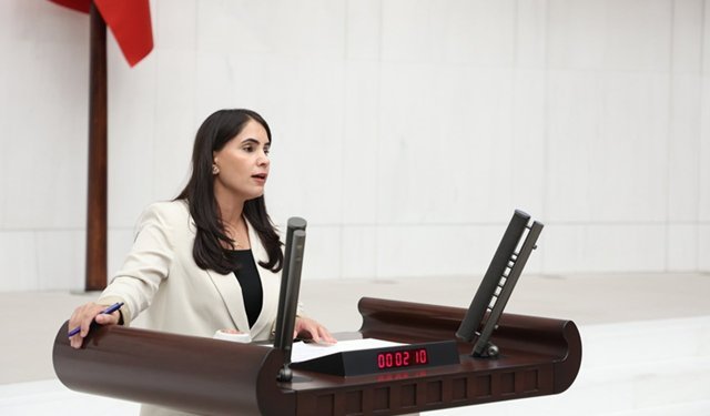 DEM Parti'li Uysal Aslan: Faili meçhuller bakanlık birimine bırakılamaz, hakikat için Meclis devreye girmelidir