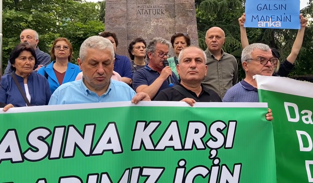 Enerji ve maden alanlarına yönelik düzenlenecek yasa, Ege'de zeytine, Karadeniz'de fındık ve çaya zarar