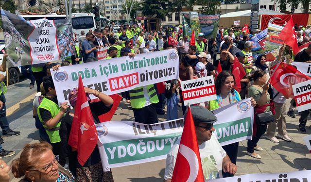 Tokat'ta yurttaşlar, kutsal ormanları için mücadeleyi sürdürüyor