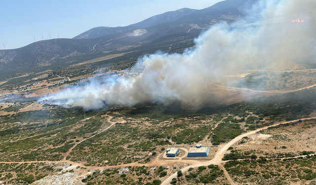 Didim’de makilik alanda yangın