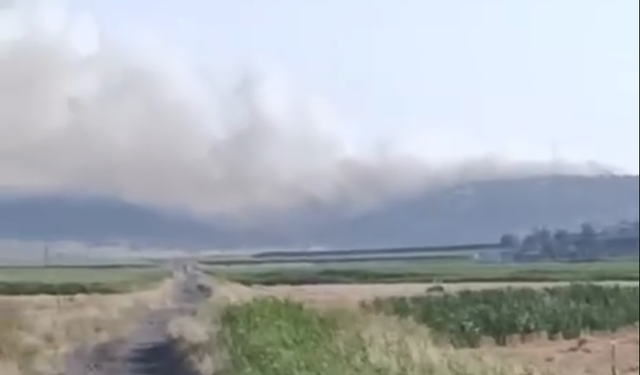 Gaziantep Nurdağı'nda anız yangını ormana sıçradı; Havadan müdahale devam ediyor