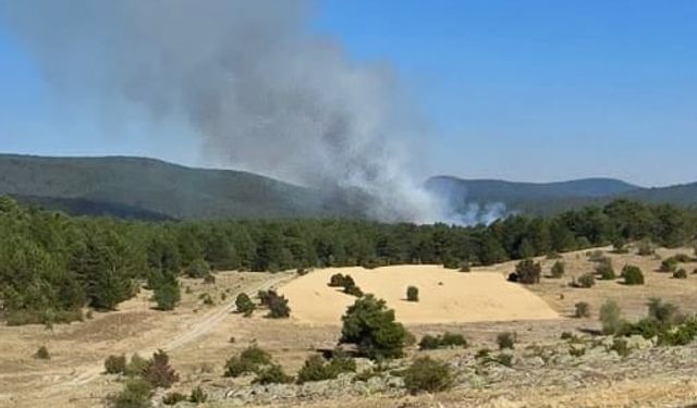 Eskişehir'de ormanlık alanda yangın çıktı