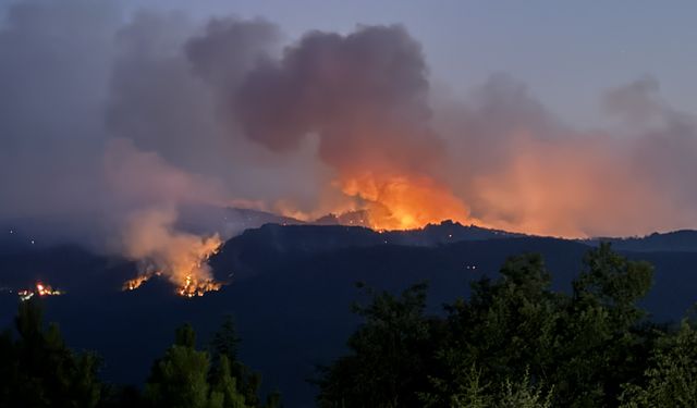 Eskişehir'de ormanlık alanda çıkan yangına müdahale sürüyor