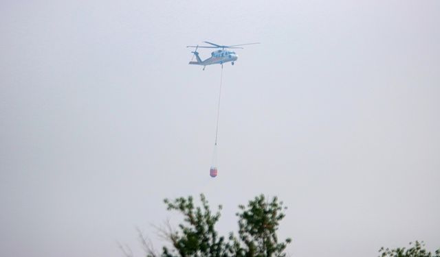 Hatay Antakya'da orman yangını çıktı