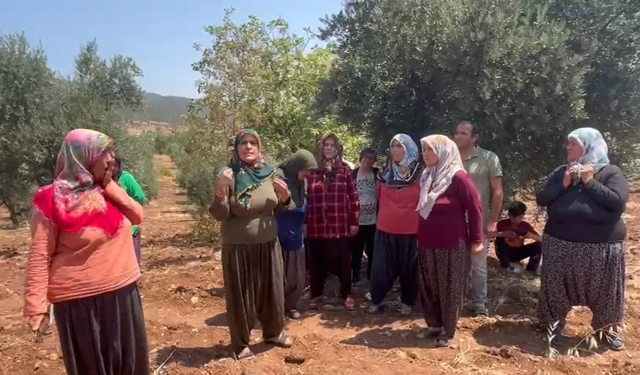 Gaziantep İslahiye’de zeytinlikler TOKİ tehdidi altında: Köylüler haklarını arıyor