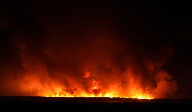 Tekirdağ'da çıkan orman yangını Çanakkale'ye sıçradı