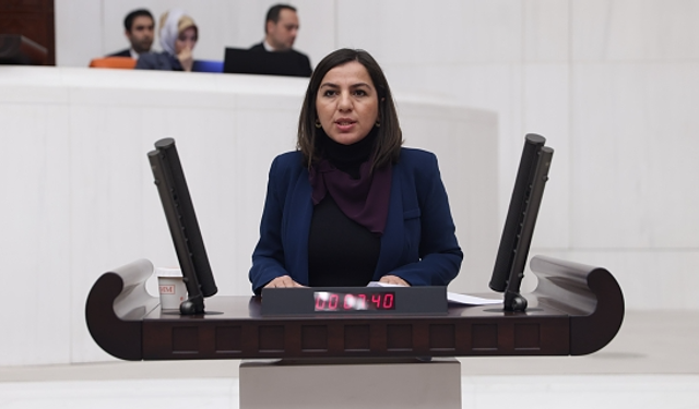DEM Parti Milletvekili Gökalp: Engelli mahpuslar cezaevlerinde tedaviye erişemiyor, yaşam hakları tehlikede