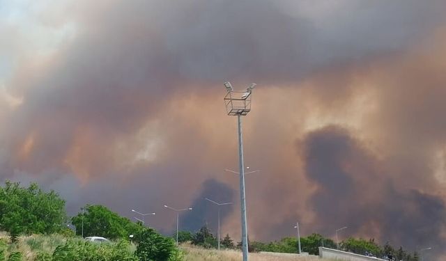 Çanakkale'de tarım arazisinde başlayıp ormana sıçrayan yangına müdahale ediliyor