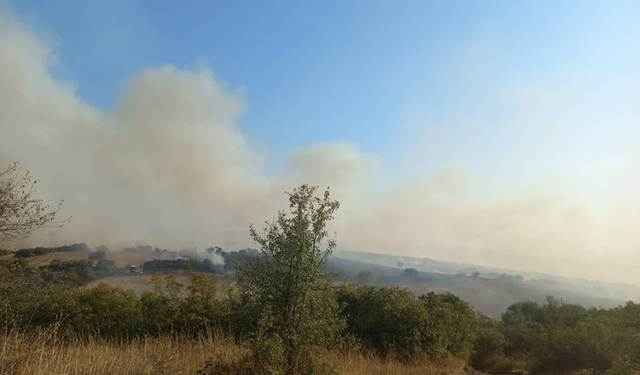 Balıkesir'de çıkan yangına müdahale ediliyor