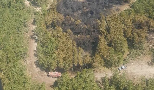 Bolu'daki yangın kontrol altına alındı