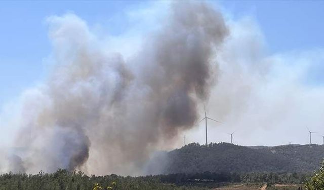 Çanakkale'de yine orman yangını: Kaz dağları tehdit altında