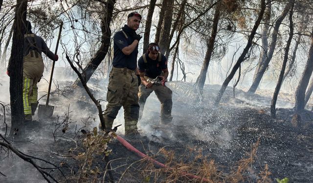 İBB’den Çanakkale’deki yangın söndürme çalışmalarına destek