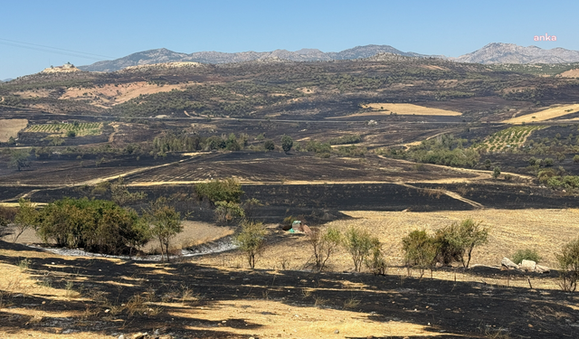 Diyarbakır'daki yangında 230 hektar alan kül oldu