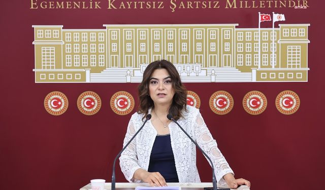 Gülistan Kılıç Koçyiğit'den ''sahte diploma'' tepkisi: Bütün kurumları ele geçiren çete sadece buzdağının görünen yüzü