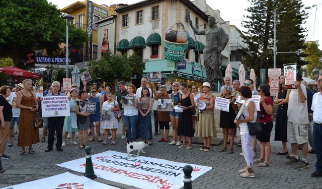 Antalya'da hayvan hakları eylemi: Barınaklar toplama kampı oldu