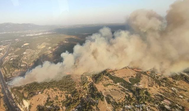 İzmir Buca’daki yangın kontrol altına alındı