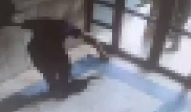 Başakşehir’de kediyi işkenceyle öldüren kişi tutuklandı