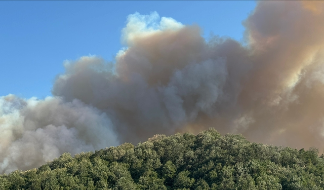 Kocaeli Valiliği: Karamürsel'de çıkan orman yangınının enerjisinin düşürüldü
