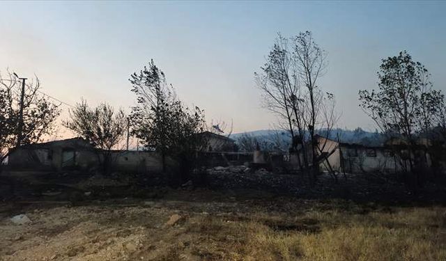 Kocaeli'de orman yangını: 3 Mahalle tahliye edildi