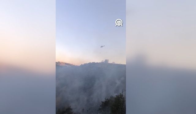 Diyarbakır'da ormanlık alanda çıkan yangına müdahale ediliyor