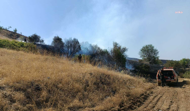 Malatya'daki yangına müdahale ediliyor