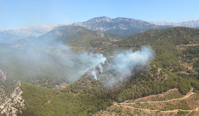 Mersin'de orman yangını