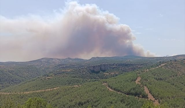 Silifke’de orman yangını: 3 mahalle tahliye ediliyor