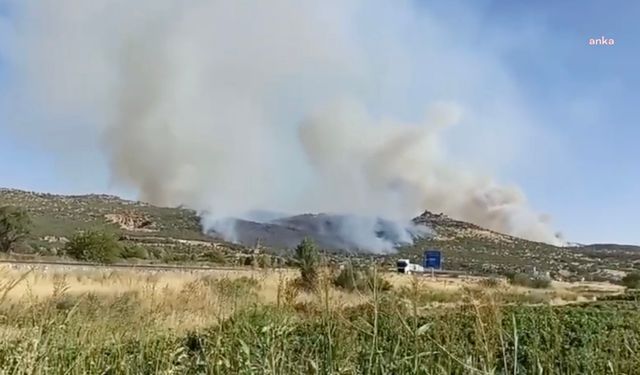 Diyarbakır’ın 3 ayrı noktasında orman yangını