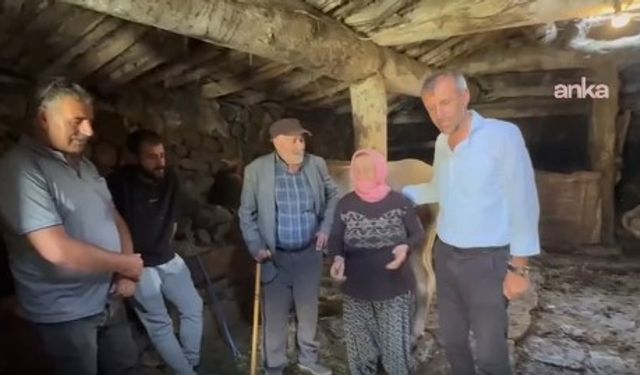 Şap Hastalığı Doğu Anadolu’yu sardı: Hayvancılık bitme noktasında